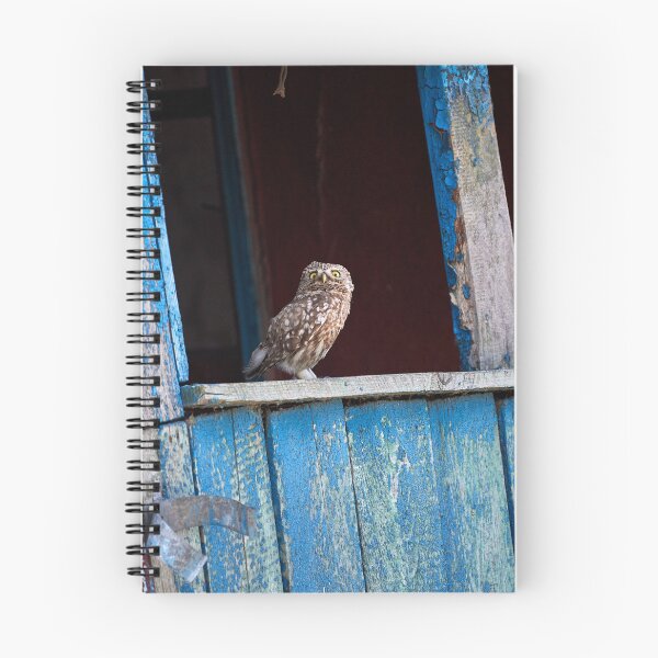 Item preview, Little Owl (Athene noctua) designed and sold by Andreas Koerner.