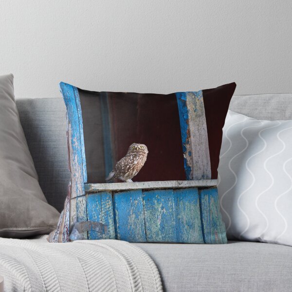 Item preview, Little Owl (Athene noctua) designed and sold by Andreas Koerner.