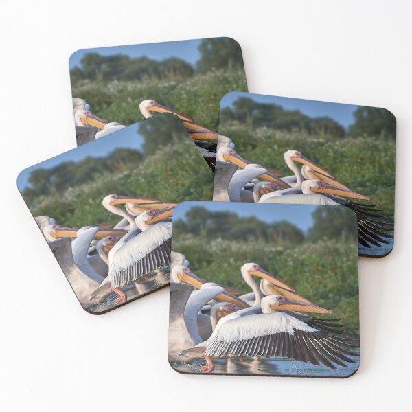 Item preview, Pink Pelican (Pelecanus onocrotalus) designed and sold by Andreas Koerner.