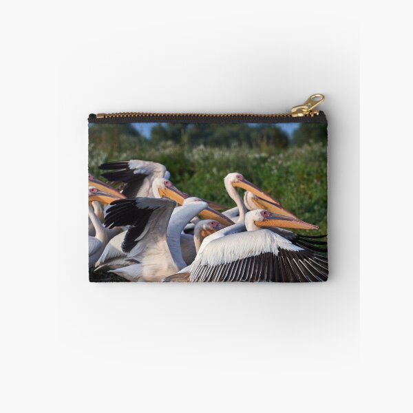 Item preview, Pink Pelican (Pelecanus onocrotalus) designed and sold by Andreas Koerner.