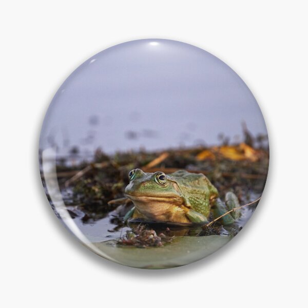Item preview, Quack designed and sold by Andreas Koerner.