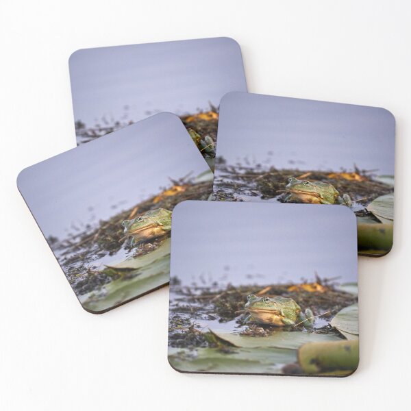 Item preview, Quack designed and sold by Andreas Koerner.
