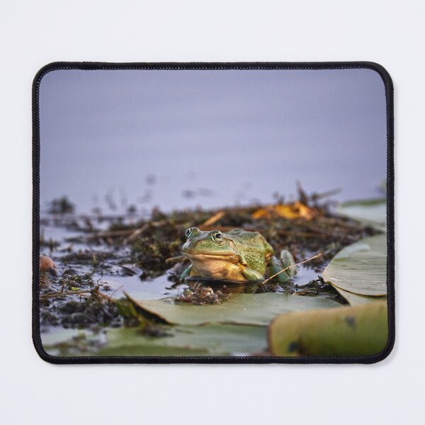Item preview, Quack designed and sold by Andreas Koerner.