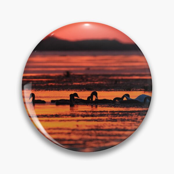 Item preview, Sunrise Danube Delta V designed and sold by Andreas Koerner.