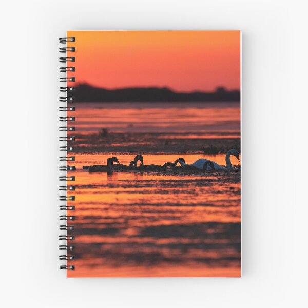 Item preview, Sunrise Danube Delta V designed and sold by Andreas Koerner.