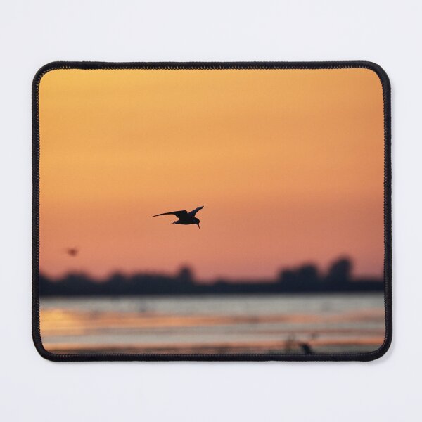 Item preview, Spotted designed and sold by Andreas Koerner.