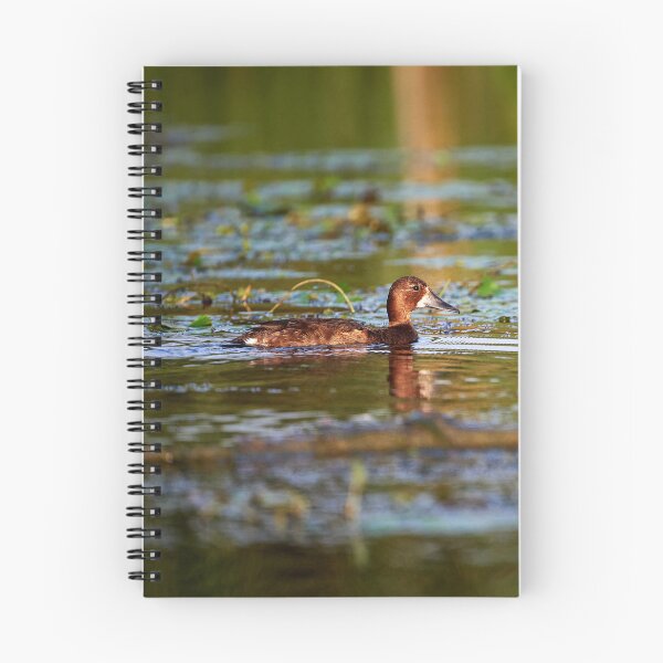 Item preview, Ferruginous Duck (Aythanyroca) designed and sold by Andreas Koerner.