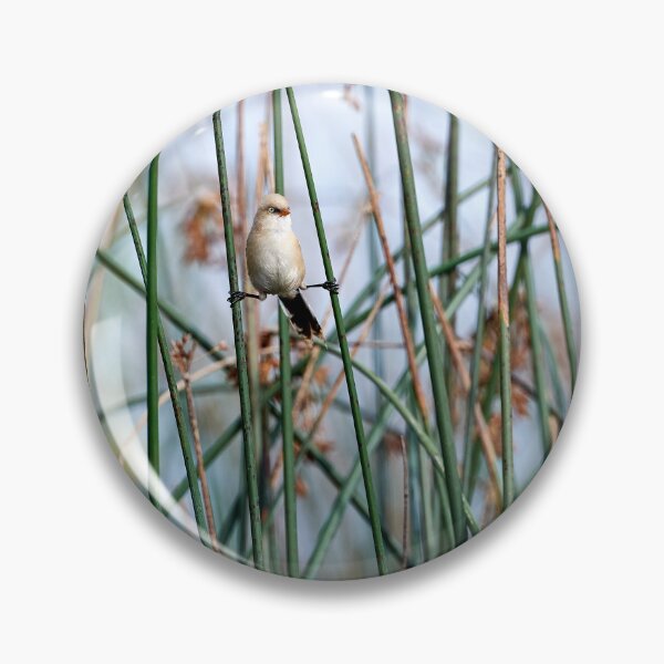 Item preview, Yoga Bearded Tit designed and sold by Andreas Koerner.