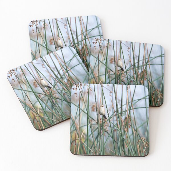 Item preview, Yoga Bearded Tit designed and sold by Andreas Koerner.