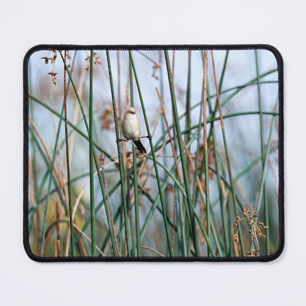 Item preview, Yoga Bearded Tit designed and sold by Andreas Koerner.