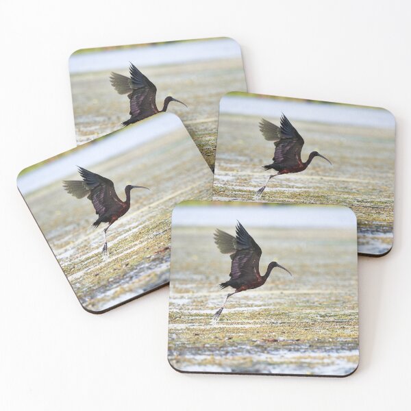 Item preview, Brown Ibis (Plegadis falcinellus) designed and sold by Andreas Koerner.