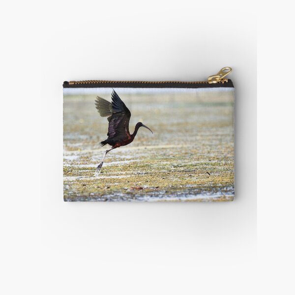 Item preview, Ibis pardo (Plegadis falcinellus) designed and sold by Andreas Koerner.