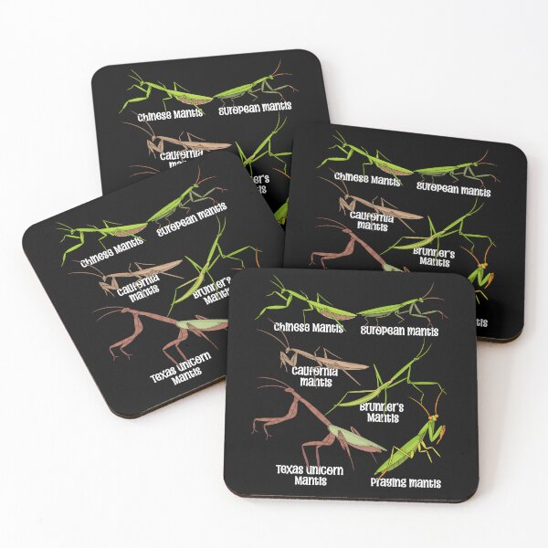 Item preview, Praying Mantis Lover Kids Insects Species Praying Mantis designed and sold by DSWShirts.