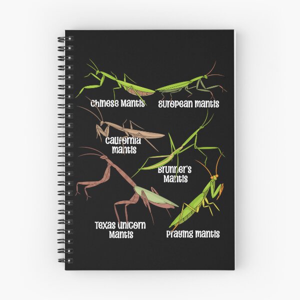 Item preview, Praying Mantis Lover Kids Insects Species Praying Mantis designed and sold by DSWShirts.
