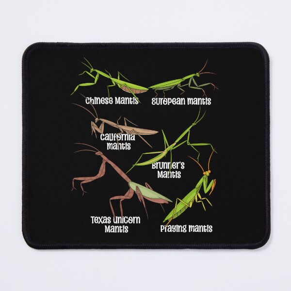 Item preview, Praying Mantis Lover Kids Insects Species Praying Mantis designed and sold by DSWShirts.