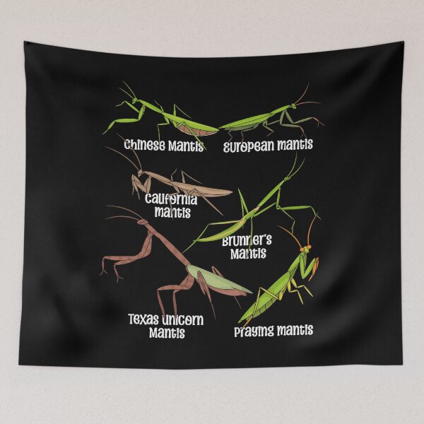 Item preview, Praying Mantis Lover Kids Insects Species Praying Mantis designed and sold by DSWShirts.
