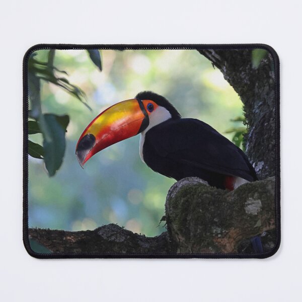 Item preview, Toco toucan designed and sold by Proud & Pretty Wildlife Photography.