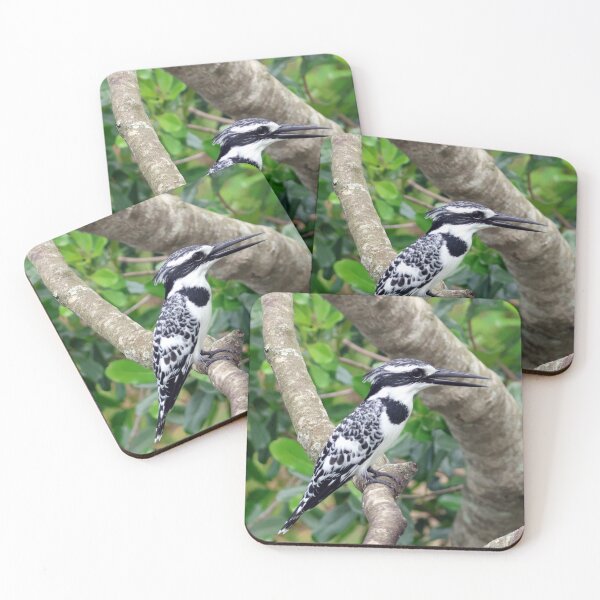 Item preview, Pied Kingfisher designed and sold by Proud & Pretty Wildlife Photography.
