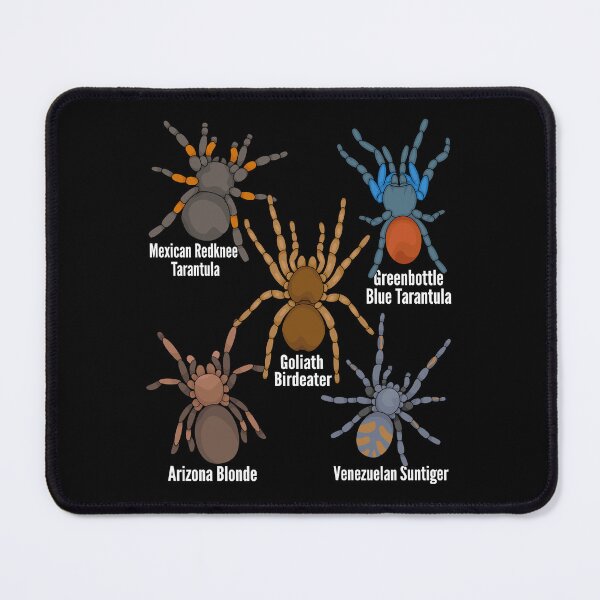 Item preview, Spiders Lover Kids Arthropod Arachnid Tarantula Spider designed and sold by DSWShirts.