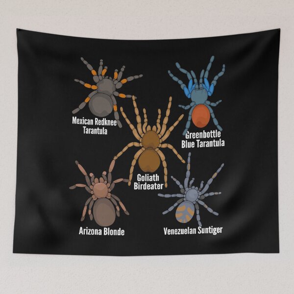 Item preview, Spiders Lover Kids Arthropod Arachnid Tarantula Spider designed and sold by DSWShirts.