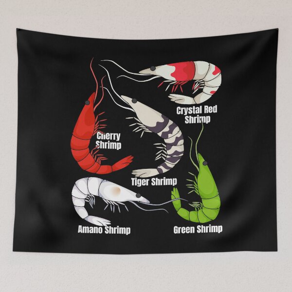 Item preview, Shrimp Species Lover Aquarium Prawn Shrimps designed and sold by DSWShirts.
