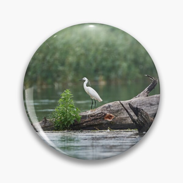Item preview, Little Egret (Egretta garzetta) designed and sold by Andreas Koerner.
