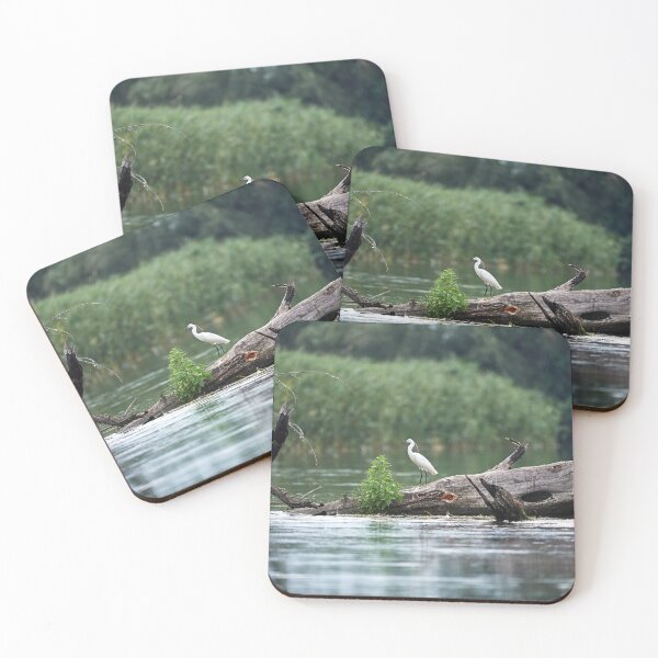 Item preview, Little Egret (Egretta garzetta) designed and sold by Andreas Koerner.