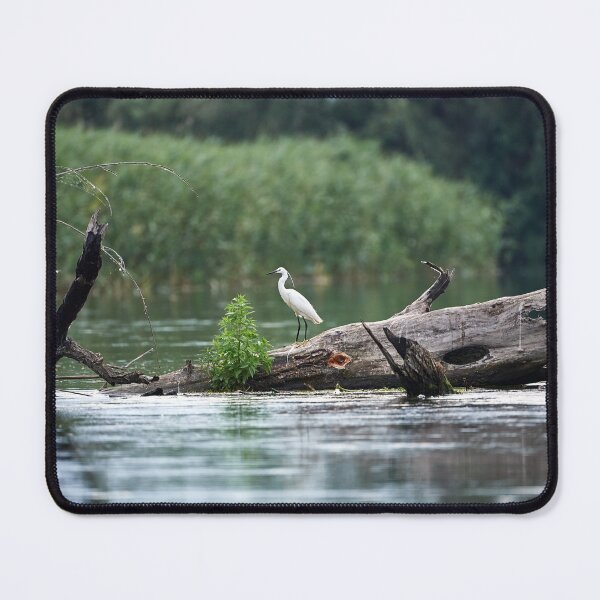 Item preview, Little Egret (Egretta garzetta) designed and sold by Andreas Koerner.