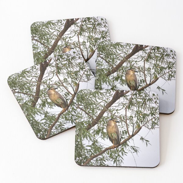 Item preview, Night heron (Nycticorax nycticorax) designed and sold by Andreas Koerner.