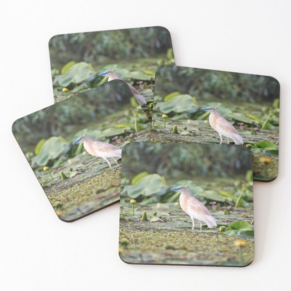 Item preview, Squacco heron (Ardeola ralloides) designed and sold by Andreas Koerner.