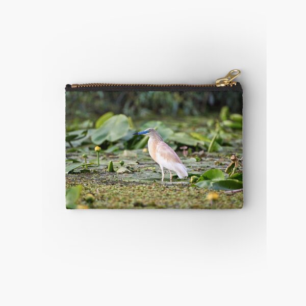 Item preview, Squacco heron (Ardeola ralloides) designed and sold by Andreas Koerner.