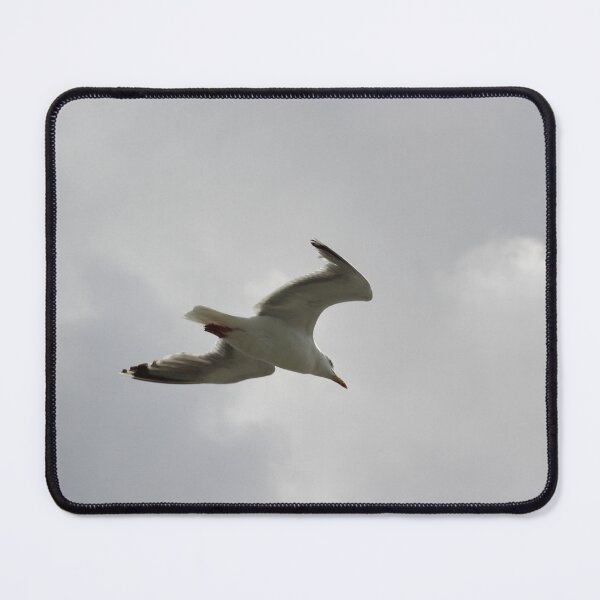 Item preview, Seagull designed and sold by Marije Kouyzer.