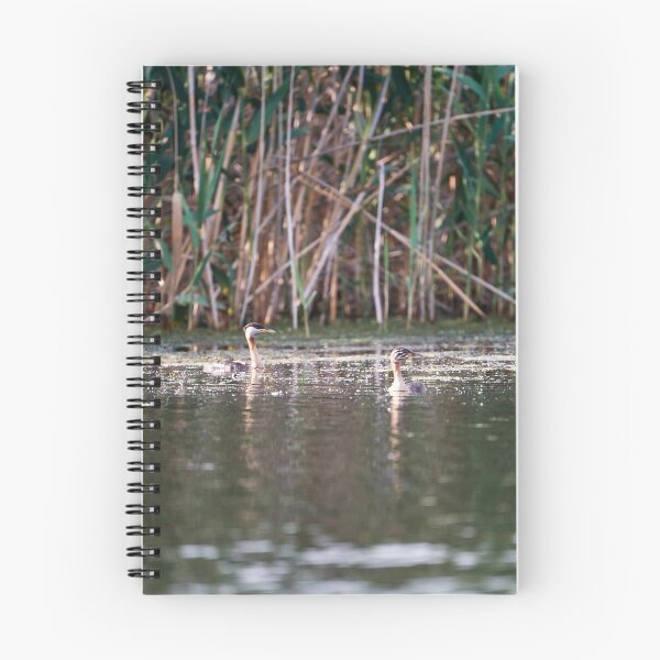 Item preview, Red-necked grebe (Podiceps grisegena) designed and sold by Andreas Koerner.