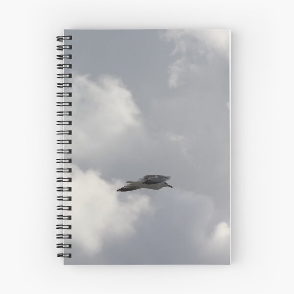 Item preview, Seagull designed and sold by Marije Kouyzer.