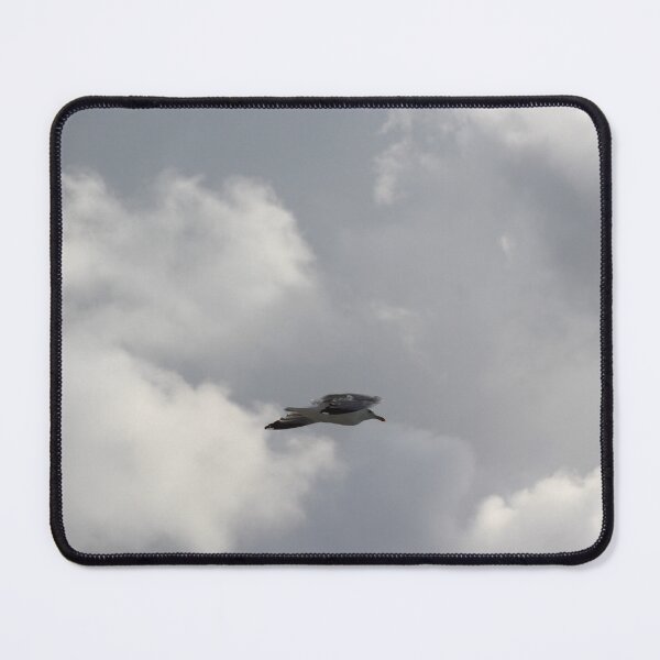 Item preview, Seagull designed and sold by Marije Kouyzer.