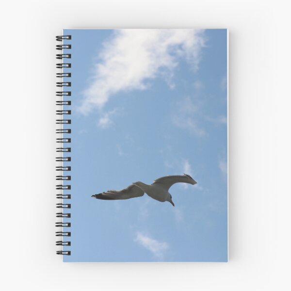 Item preview, Seagull designed and sold by Marije Kouyzer.