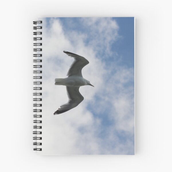 Item preview, Seagull designed and sold by Marije Kouyzer.