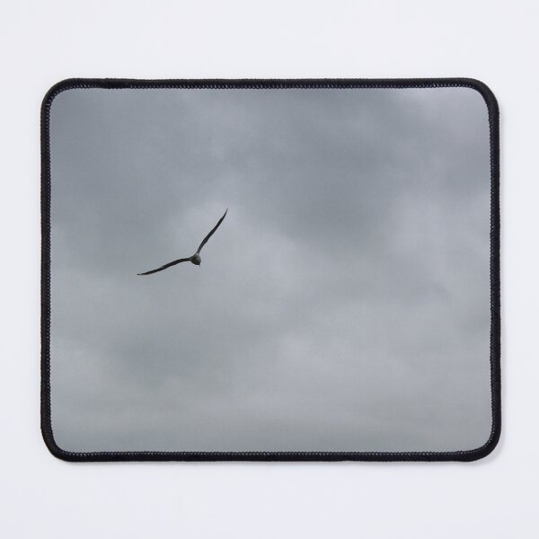 Item preview, Seagull designed and sold by Marije Kouyzer.