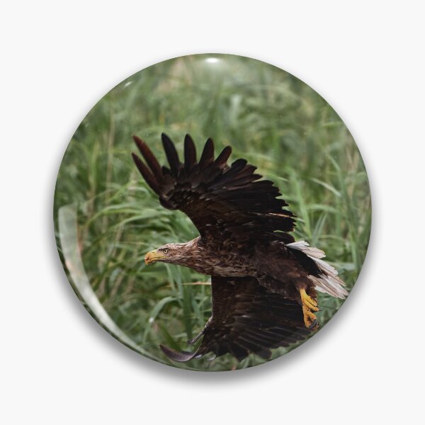 Item preview, In flight designed and sold by Andreas Koerner.