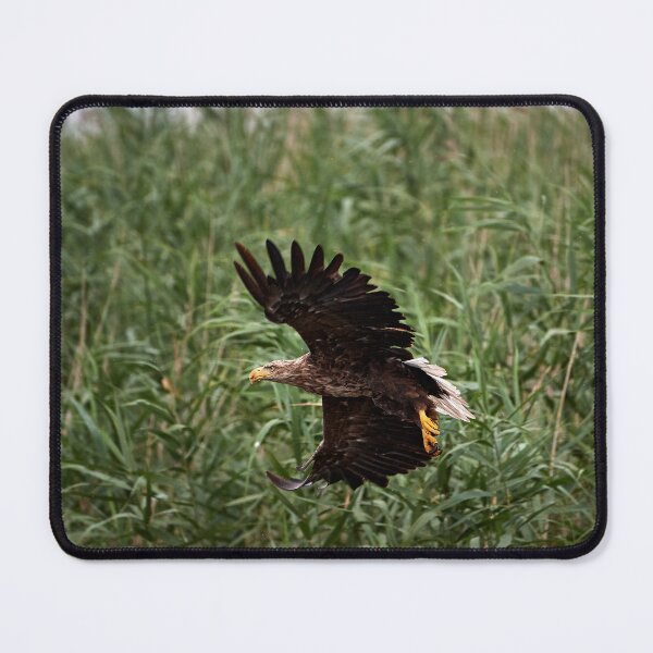 Item preview, In flight designed and sold by Andreas Koerner.