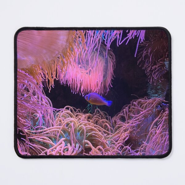 Item preview, Fish In Bubblegum Sea Anemone designed and sold by emitari.