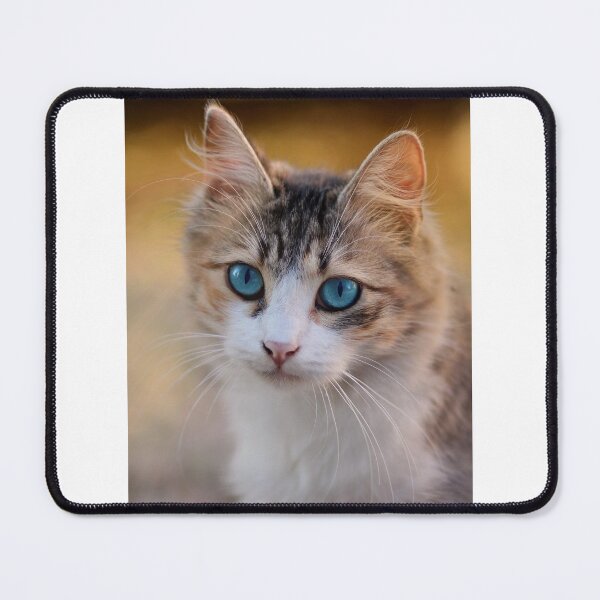 Item preview, Cat designed and sold by LatiendaShop.