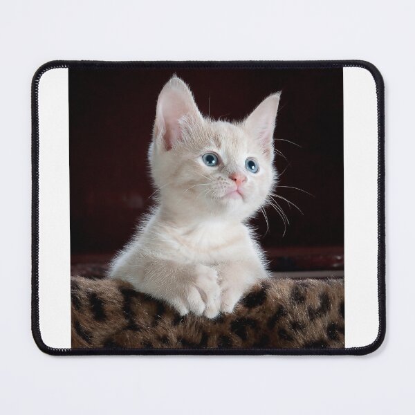 Item preview, Cat designed and sold by LatiendaShop.