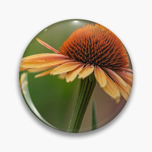 Item preview, Echinacea designed and sold by Michael Cummings.