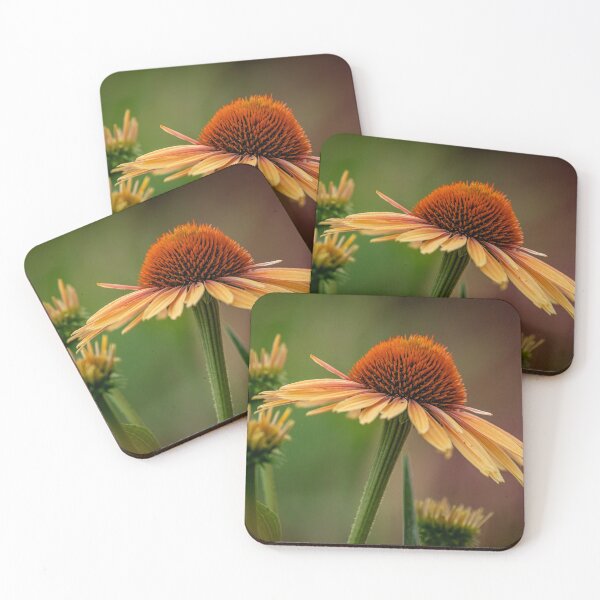 Item preview, Echinacea designed and sold by Michael Cummings.