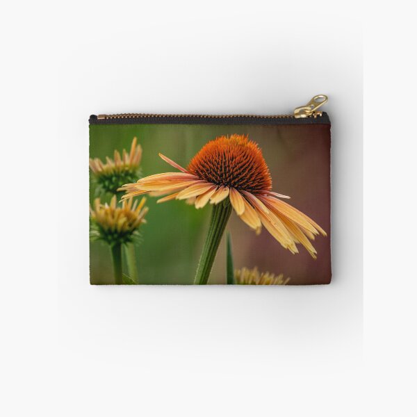 Item preview, Echinacea designed and sold by Michael Cummings.