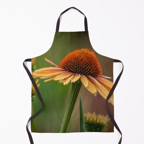 Item preview, Echinacea designed and sold by Michael Cummings.