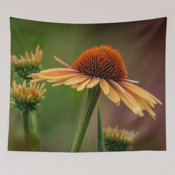 Item preview, Echinacea designed and sold by Michael Cummings.