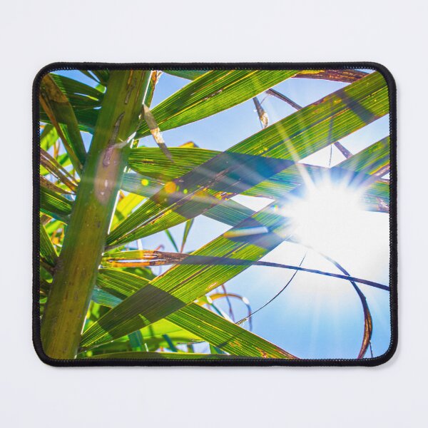 Item preview, Capitola Leaves designed and sold by Imbeccable Images.