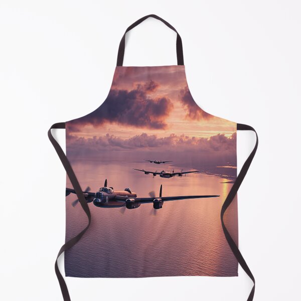 Item preview, Silent Skies Above designed and sold by Skyframe Aviation.